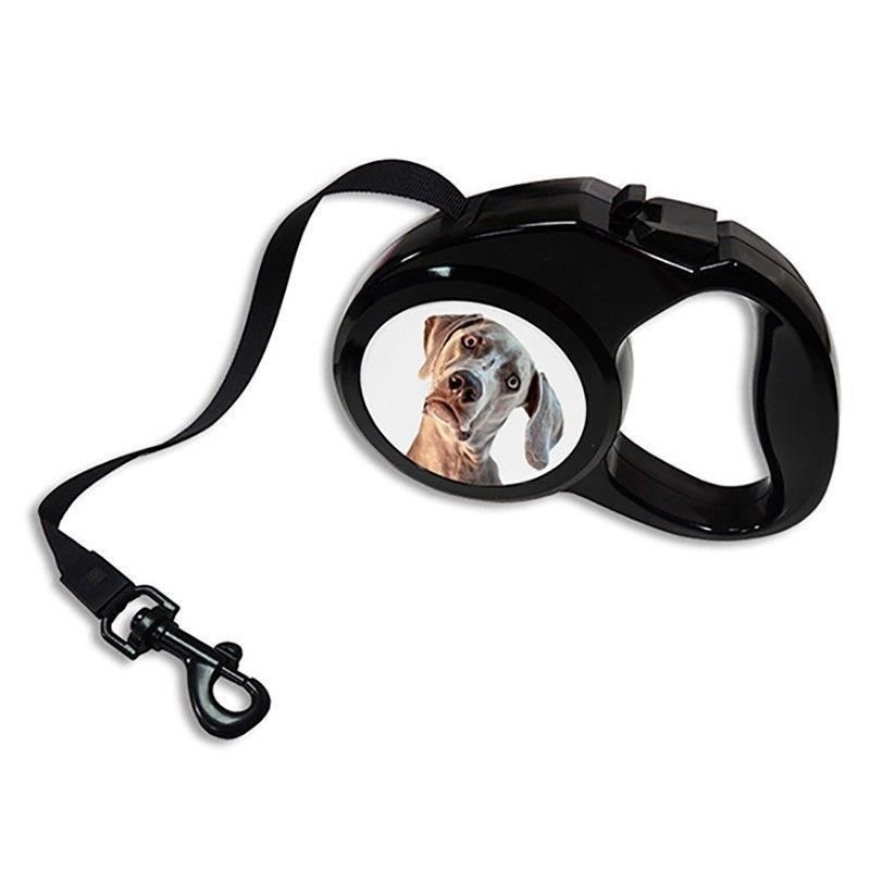 Correa mascota extensible personalizada con fotos