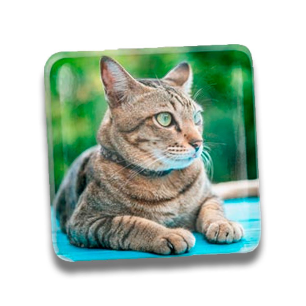 Imán acrílico personalizado