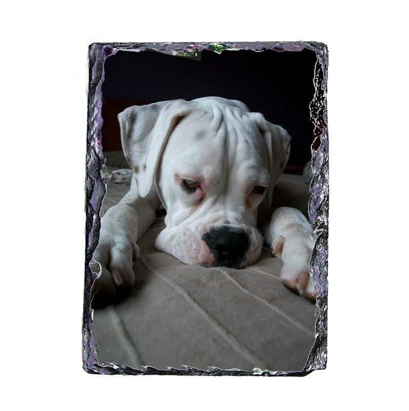 Pizarra personalizada con fotos 15×20 Vertical